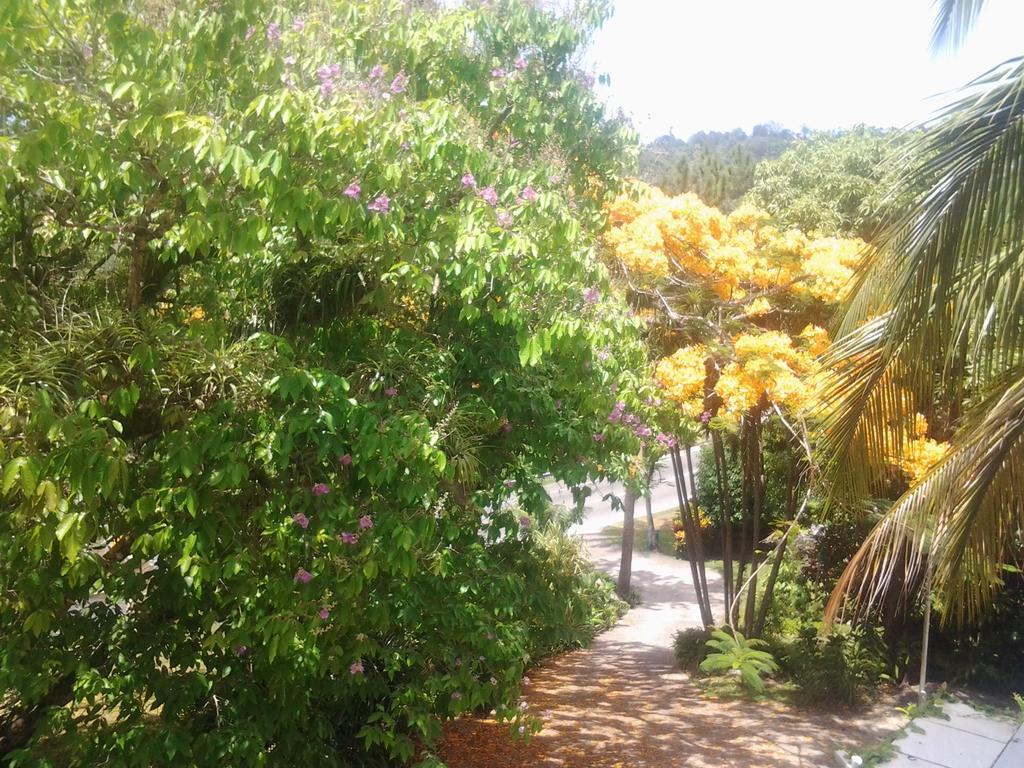 Rio Vista Resort Port Antonio Esterno foto
